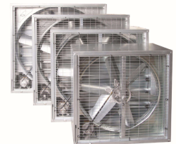 ��֪����ʲôؓ���L�C���a�������